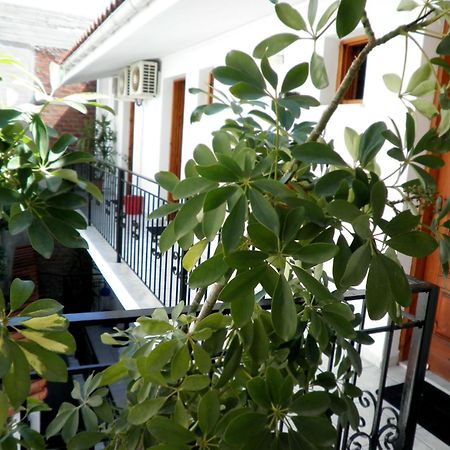 Mimoza Studios Skiatos Zewnętrze zdjęcie