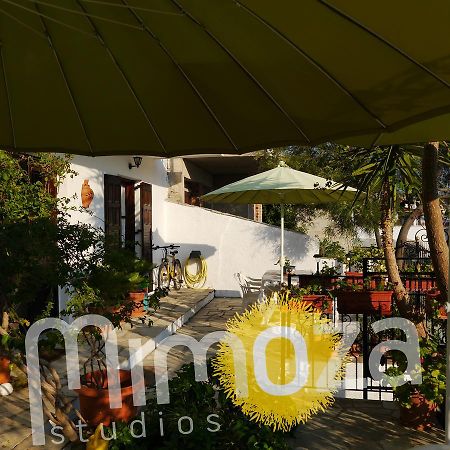 Mimoza Studios Skiatos Zewnętrze zdjęcie